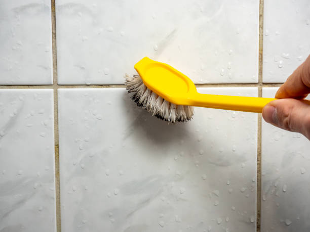 Professional Mold Remediation in West Glens Falls, NY