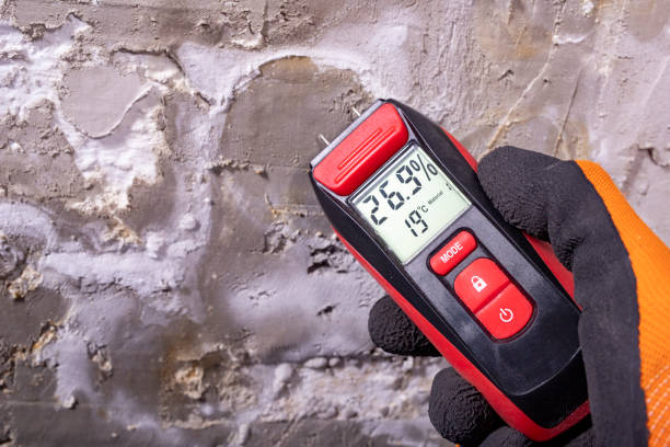Best Bathroom Mold Remediation in West Glens Falls, NY